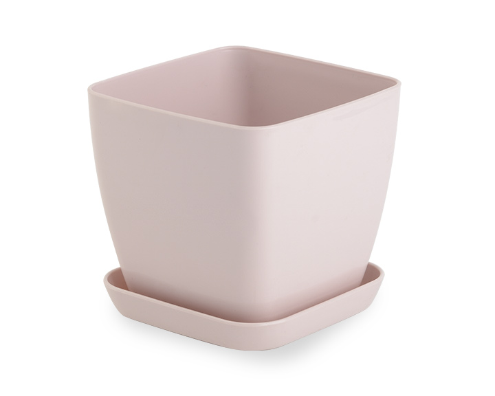 puder-roze