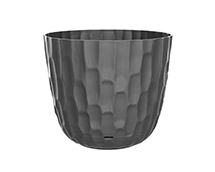 Saksija Madera &Oslash;18 miškone